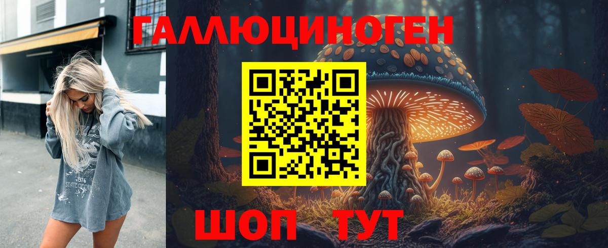купить закладку  Псилоцибиновые грибы GOLDEN TEACHER  Вход с VPN  Красноярск  Псилоцибиновые грибы мухоморы 